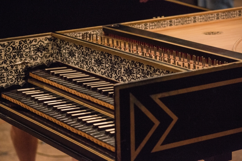 Ornate harpsichord captured up close